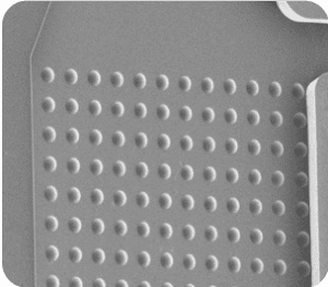 Flexdym Microfluidic chips