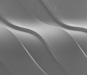 Flexdym Microfluidic chips