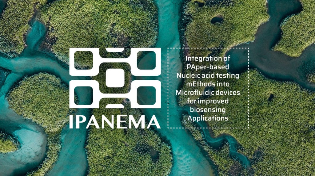 Ipanema Horizon 2020 project EU