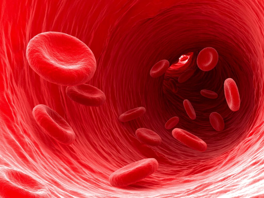 Blood Vessel Eden Medtech