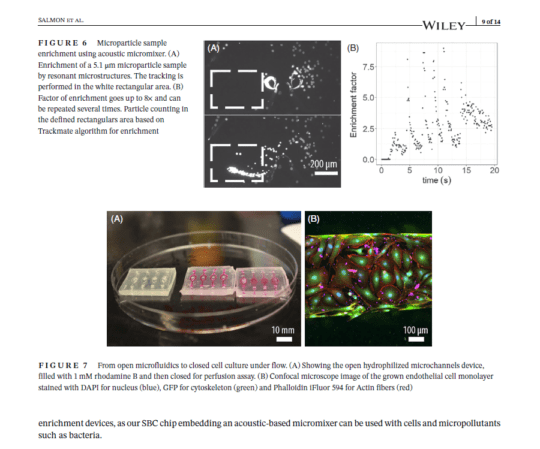 Nanoselect 2020 - Self-sealing thermoplastic fluoroelastomer enables rapid fabrication of modular microreactors