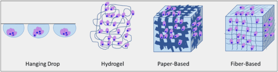Four Methods of 3D cell Culture | Eden Tech
