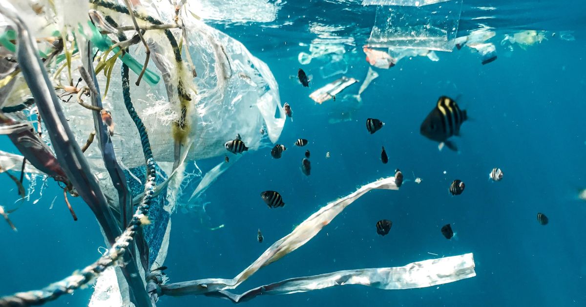 Microplastics and Invasive Species Threat to Marine Life and Ecosystems