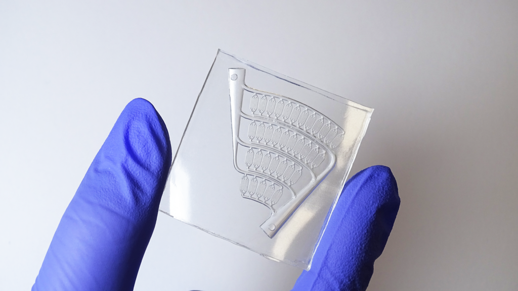 microfluidic chip