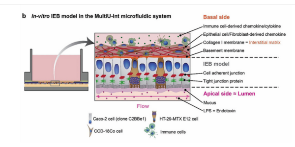 Fabricating MultiU-Int Microfluidic Chips