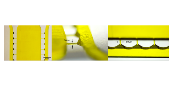 The Potential of 3D Printing using 2PP technology in Skeletal Muscle Engineering Application Note