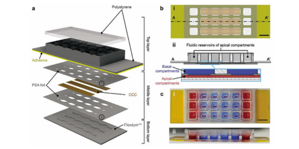 Fabricating MultiU-Int Microfluidic Chips