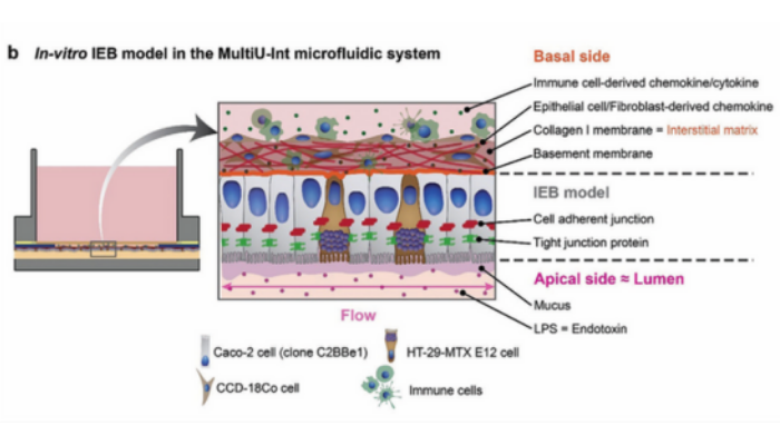 Fabricating MultiU-Int Microfluidic Chips