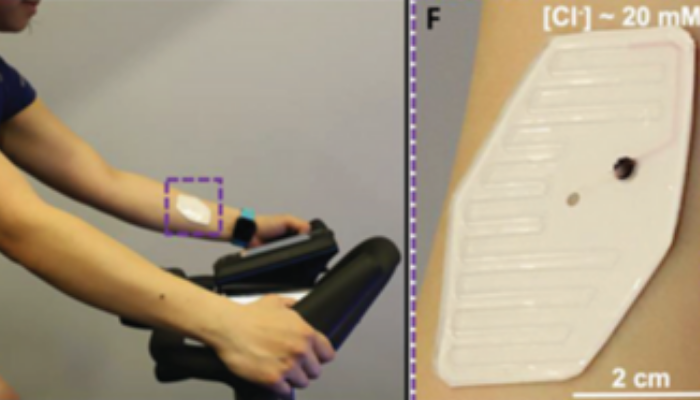 Flexdym in Skin-Interfaced Sweat Microfluidic Devices