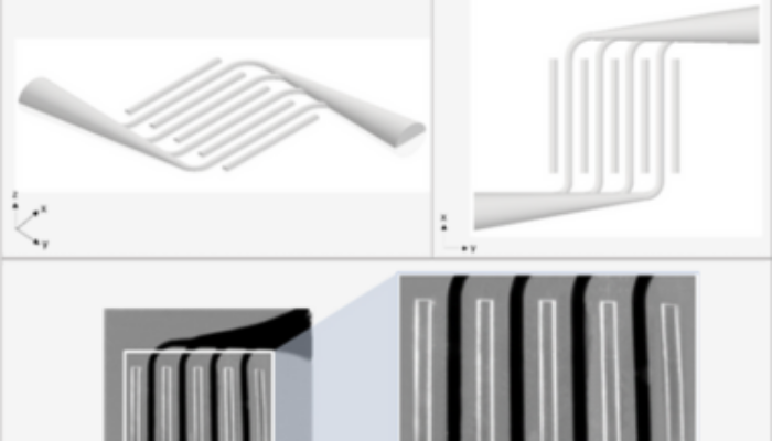 Microfluidic Device