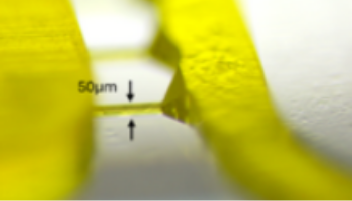 3D Printing with 2PP Technology