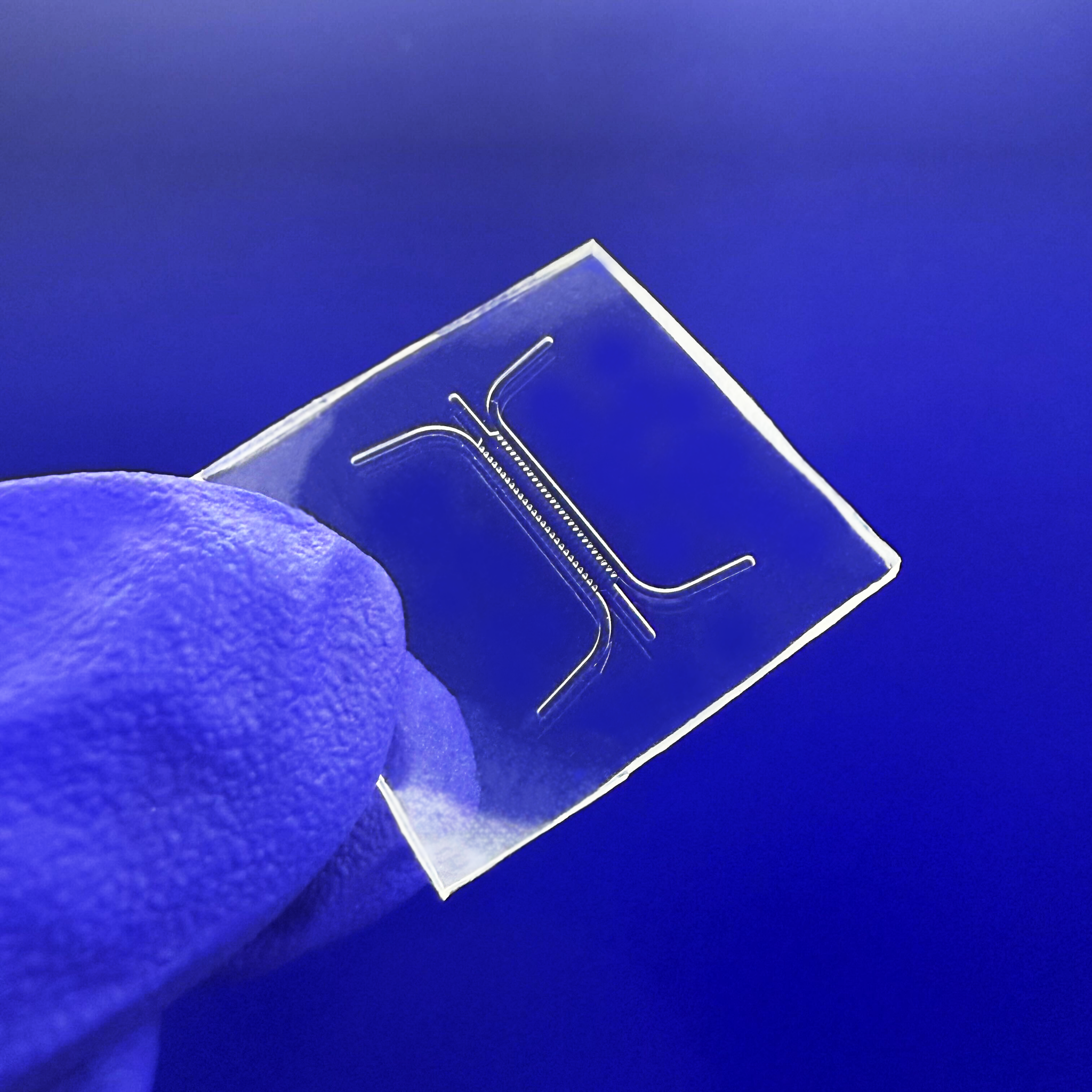 Flexdym Microfluidic chips