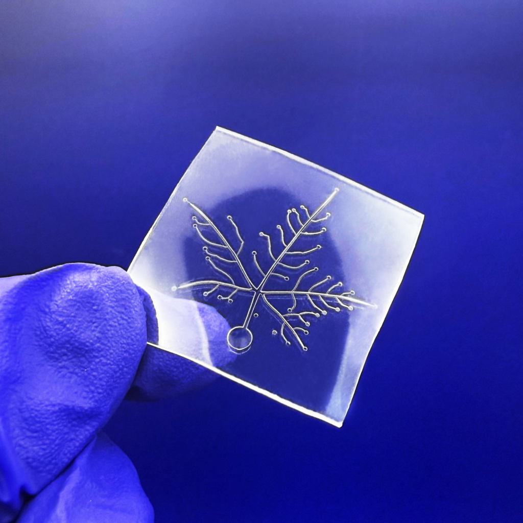 Flexdym Microfluidic chips