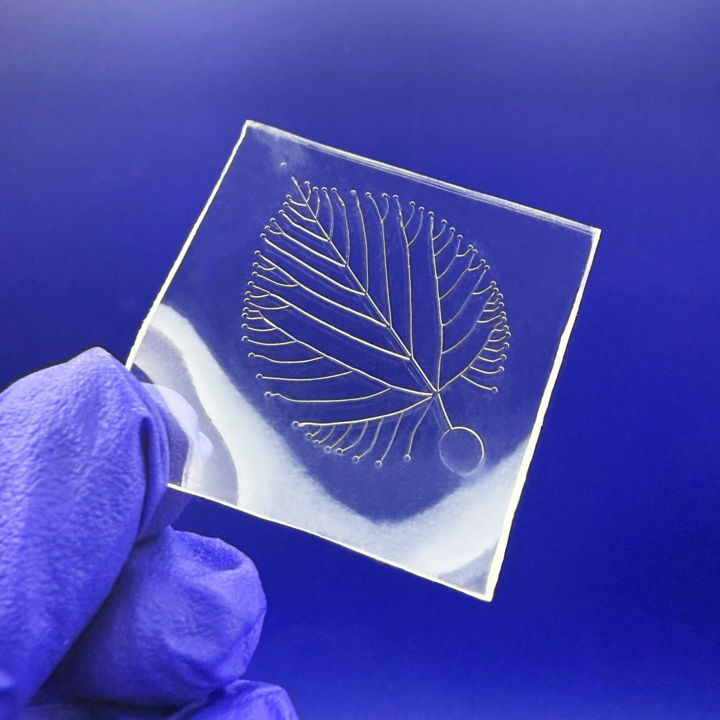 Flexdym Microfluidic chips