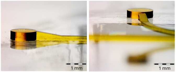 Two-Photon Polymerization 3D Printing