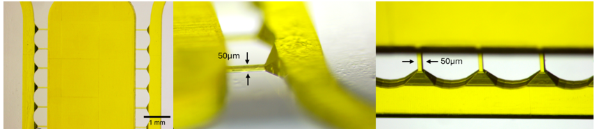 Two-Photon Polymerization 3D Printing