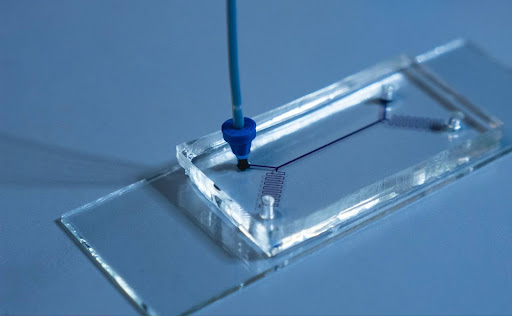 PDMS microfluidic chip