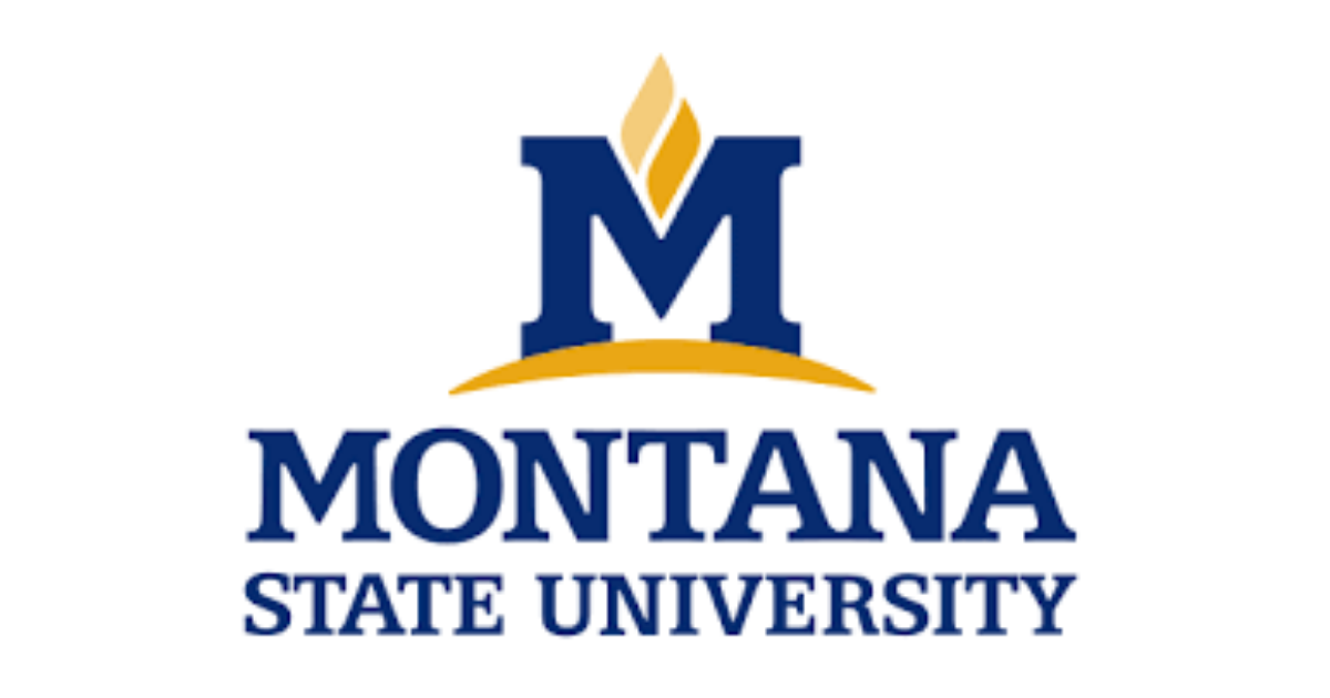 MSU
