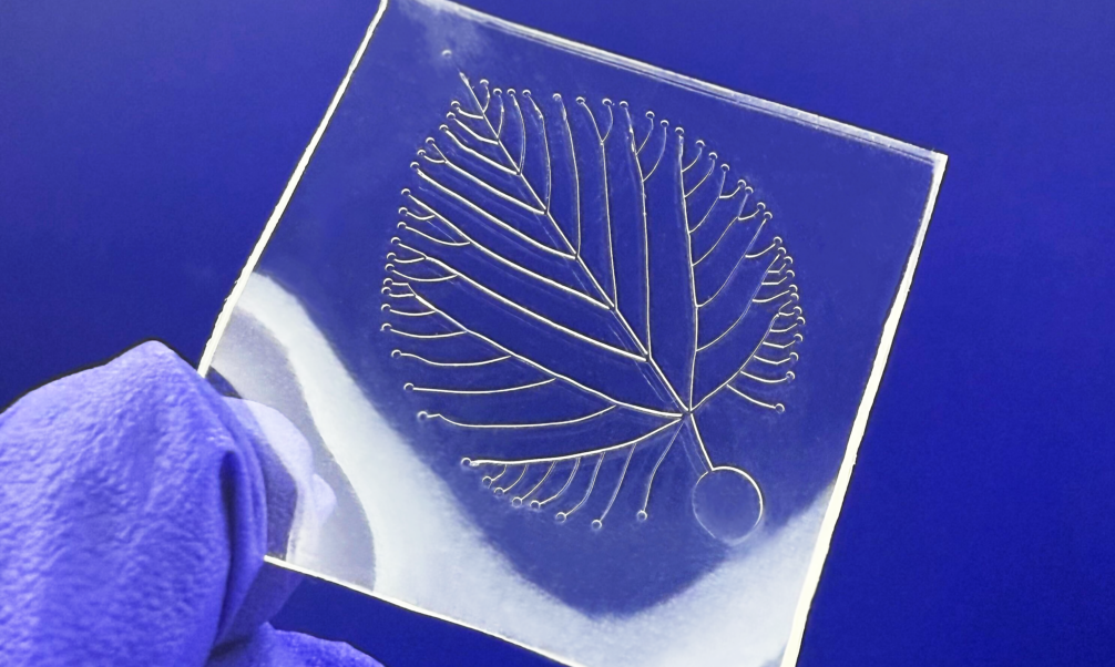 microfluidic mold