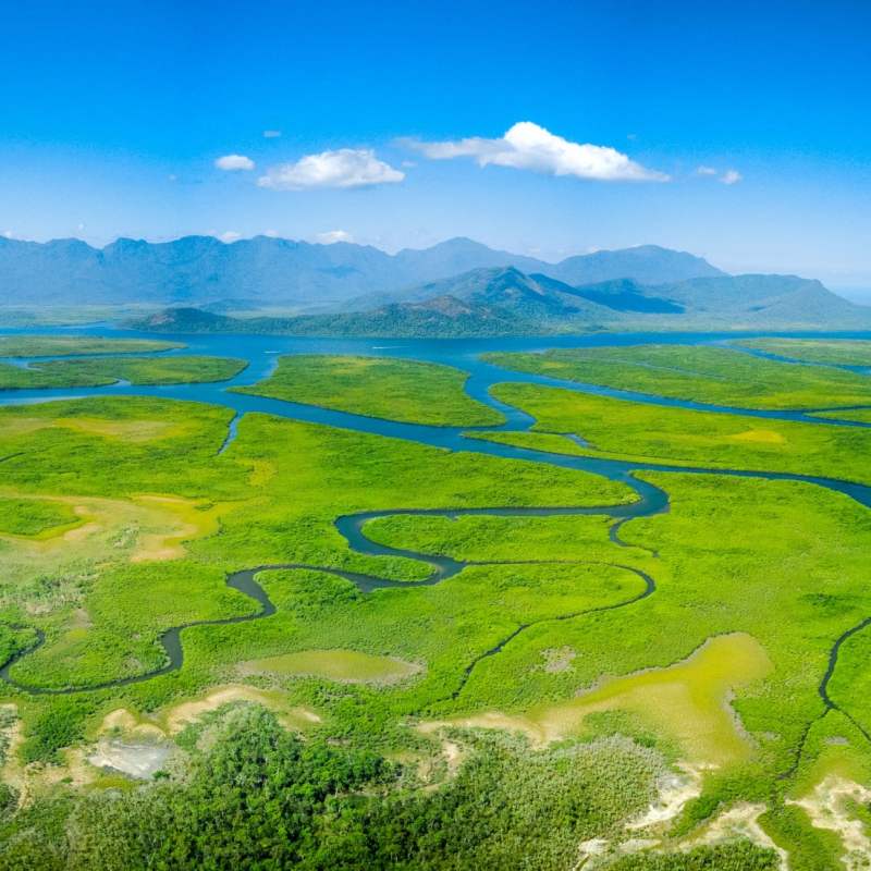 Meandering rivers and mangroves in front of Hinchinbrook Island, Queensland, Australia